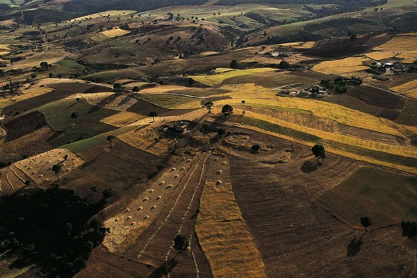 photo de l'Algérie vue du ciel, plantation de Ain Touta dans les Aurès photos de l'Algérie vue du ciel, plantation ain touta dans les aurès