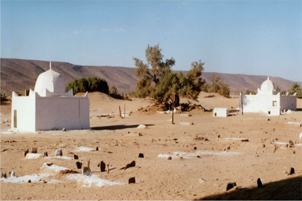 photo du tombeau de abderrahmane boufelja benmhammed ben ahmed benmoussa de béchar photos du tombeau de abderrahmane boufelja benmhammed ben ahmed benmoussa de béchar