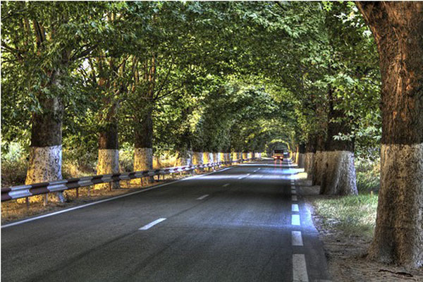 photo du tunnel vert de béjaia photos du tunnel vert de béjaia