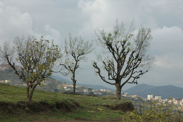 photo d'une montagne d'Algérie photos des montagnes de l'algérie