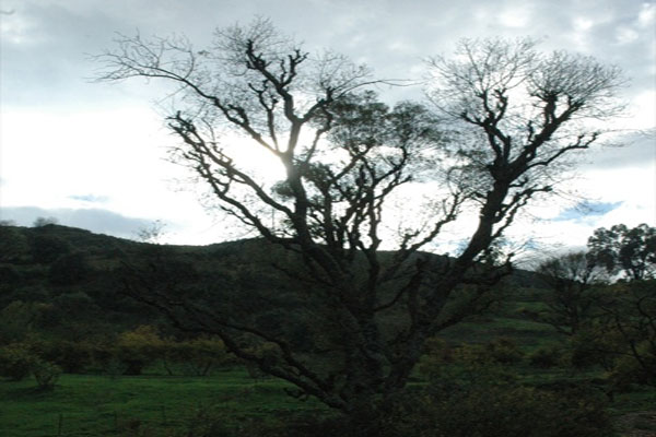 photo d'une montagne d'Algérie photos des montagnes de l'algérie