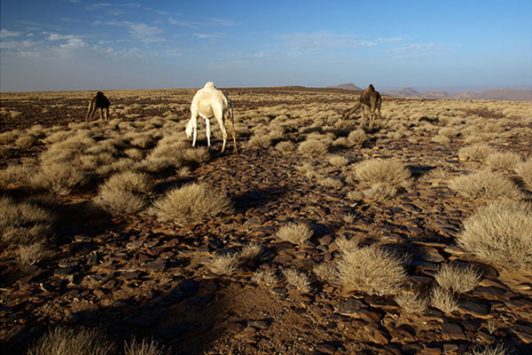 photo de l'assekrem de tamanrasset photos de l'assekrem de tamanrasset en algérie